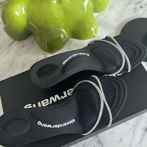 NIB Like New Alexander Wang Crystal Kitten Heel 39